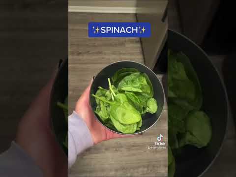 What I Ate To Lose 100 Pounds In Just ✨4 MONTHS✨ | Low Carb Recipes | Rosa Charice