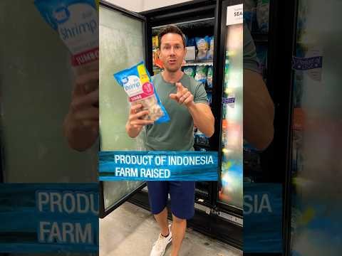 Stop Eating Shrimp 🍤