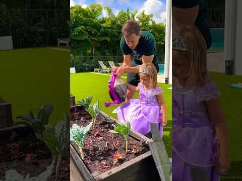 How To Build A Garden 🪴